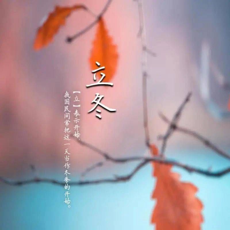 1606713289999797.jpeg c55601dea3254acab4082d867ed35525.jpeg