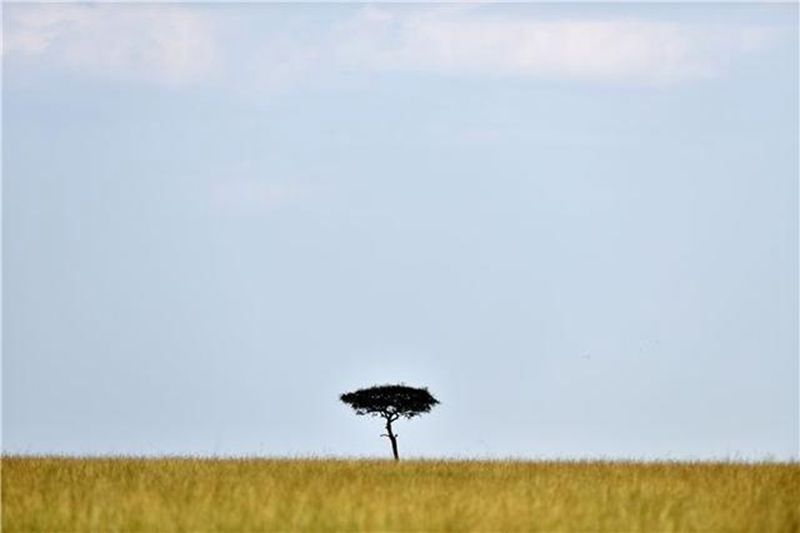 1608779214145203.jpeg c9fcc3cec3fdfc03eb71a58dc3484e93a4c2267c.jpeg