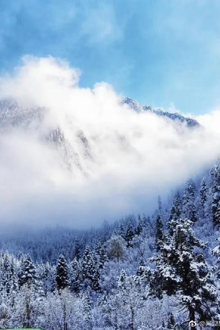 雪中的九寨溝
