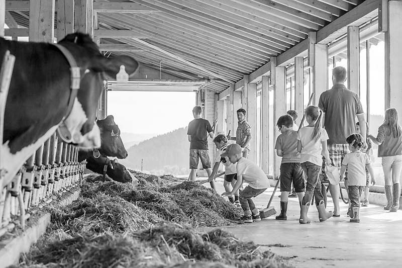 住馬廄觀蜂房，奧地利“農家樂”有趣