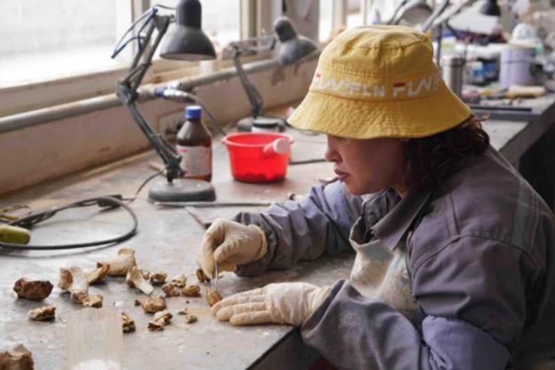 川渝首個古生物學科省部級重點實驗室揭牌