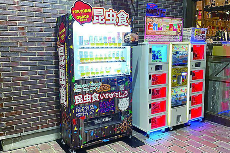 日本街頭有不少昆蟲食品售賣機