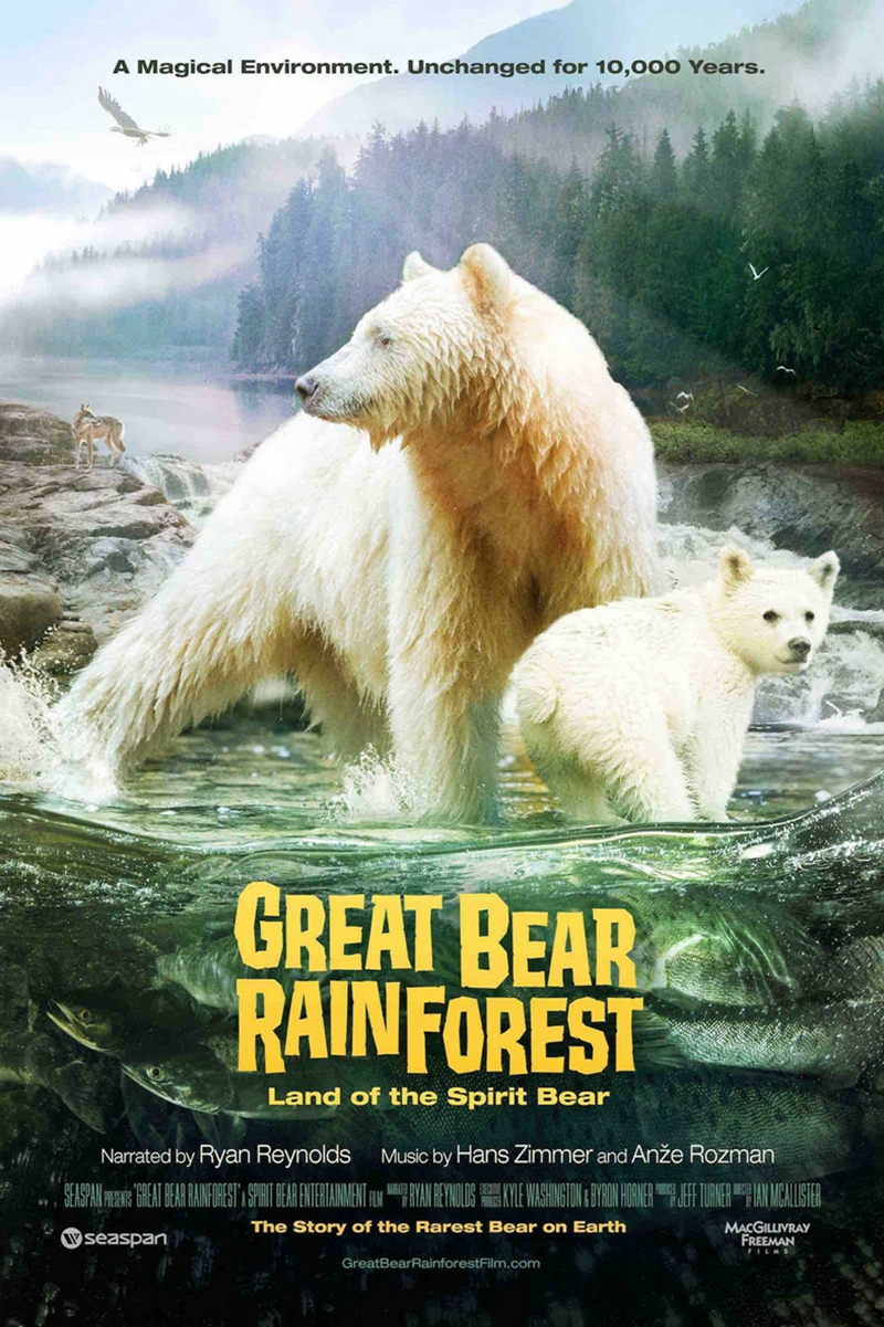 《大熊雨林，靈熊之地》紀錄片登陸中國電影博物館