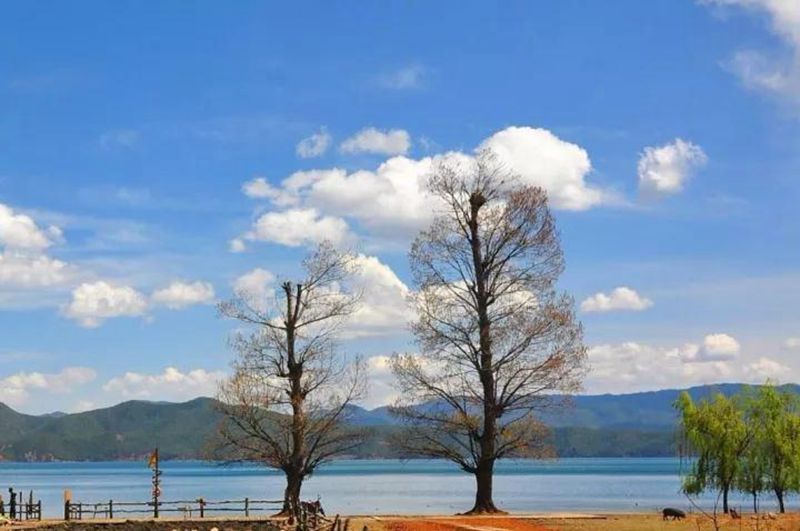 1610941608352462.jpg 微信图片_20210118114722.jpg