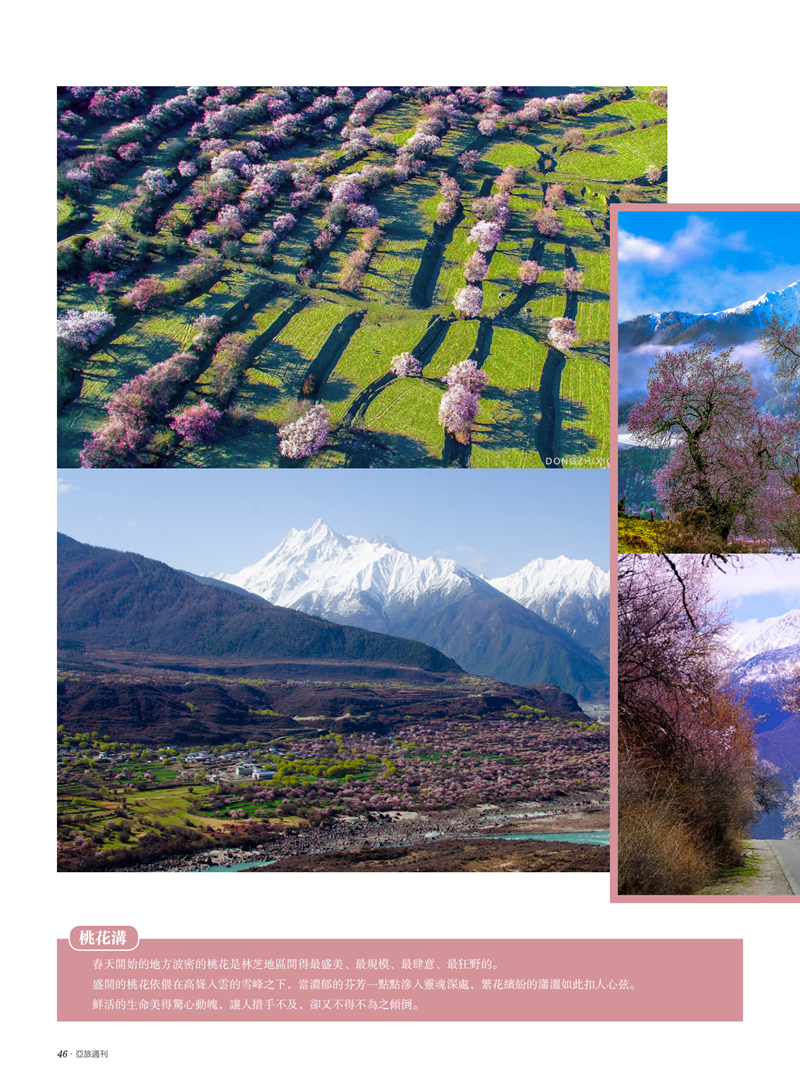 亚旅周刊第24期(3)_47.png
