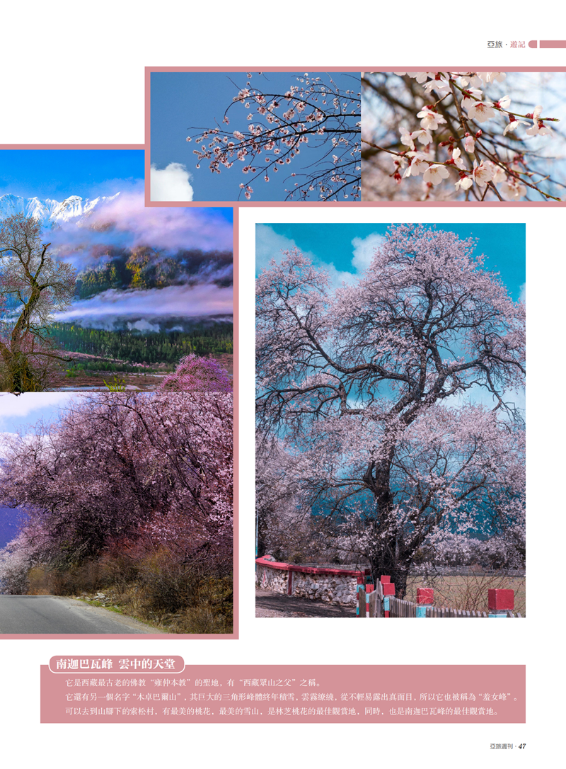 亚旅周刊第24期(3)_48.png