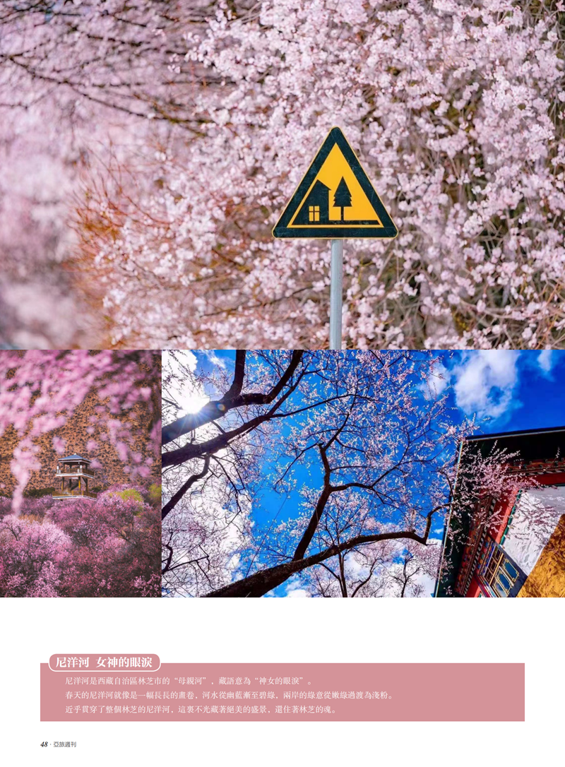 亚旅周刊第24期(3)_49.png