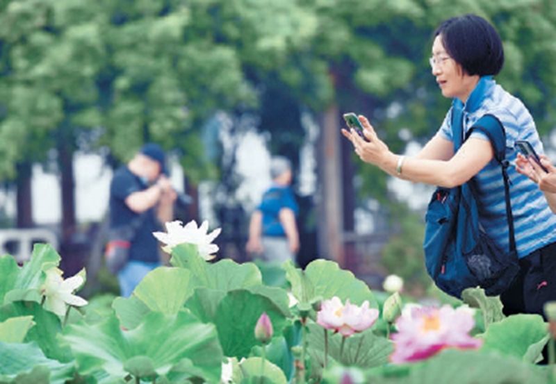 1624941273296615.jpg 77ed4a8ea2579244605851e9055a5bccu5.jpg