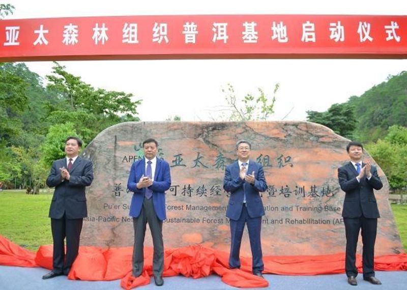 1627449254390371.jpeg 8d5494eef01f3a292c7e28dd76d962395d607c70.jpeg