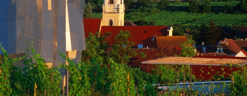 1636957929276975.jpeg 4.jpeg