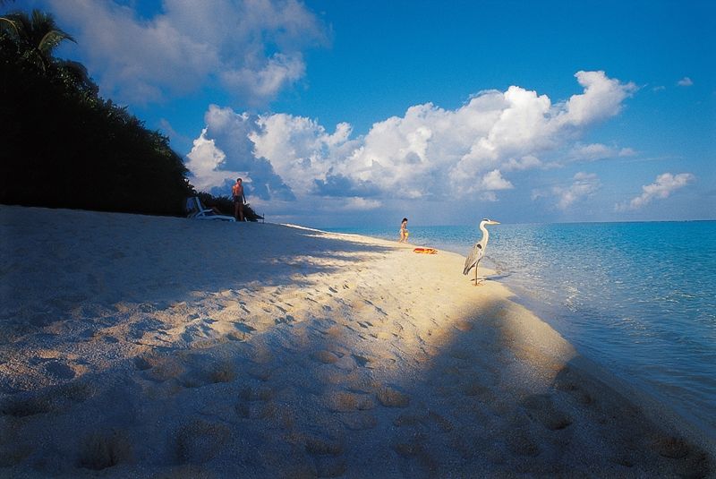 1637203929569435.jpg 9c0797f37a7cac41ceb1b1a436277ff4u5.jpg