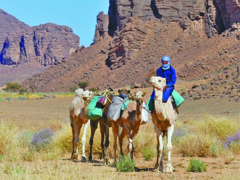 1637292338100150.jpg 0fce8c406e488de0e5ef4f6d83312d47c5.jpg