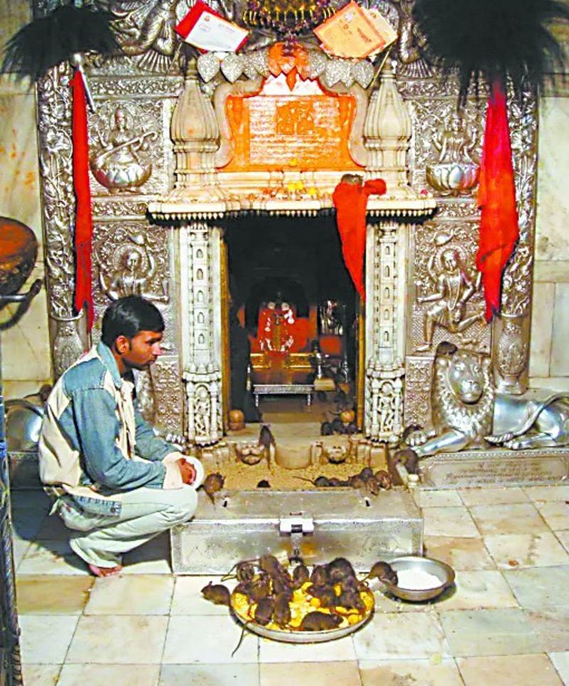 1640744093256376.jpg c9ae9c9d3631455a0d8703a2797e41ebu5.jpg