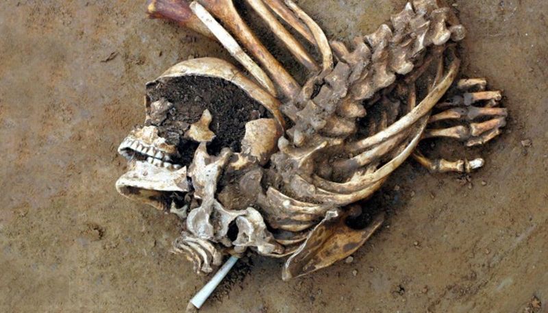 1640746089244779.jpg 6c9418ee965c5aaa41a07859dfbad37c.jpg