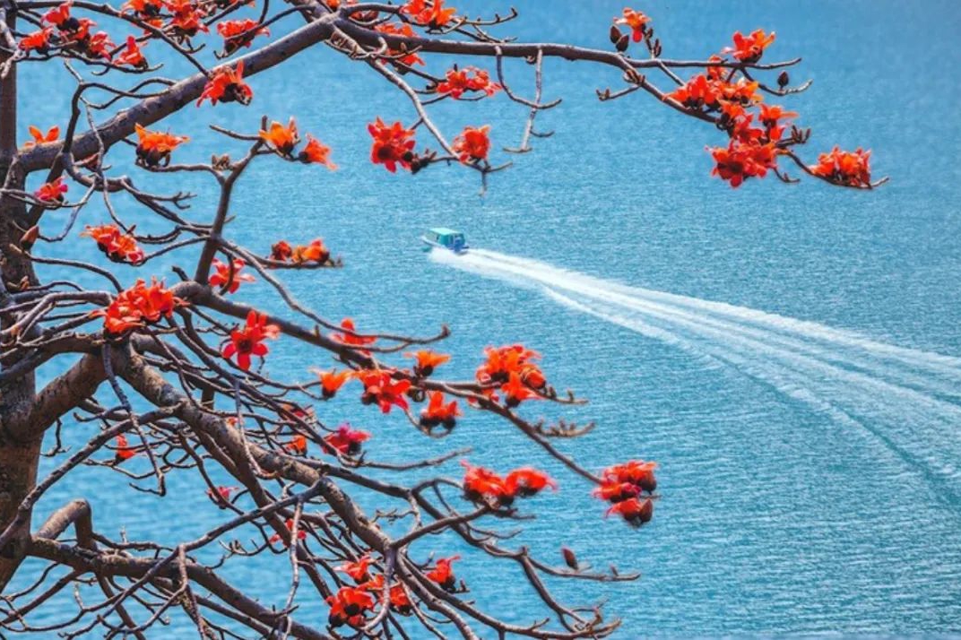 攀枝花，不一樣的四川味道