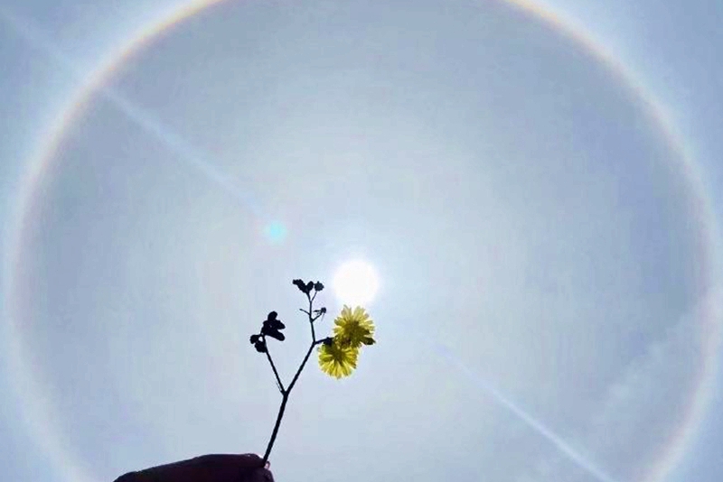 快看！成都天空现难得一见日晕