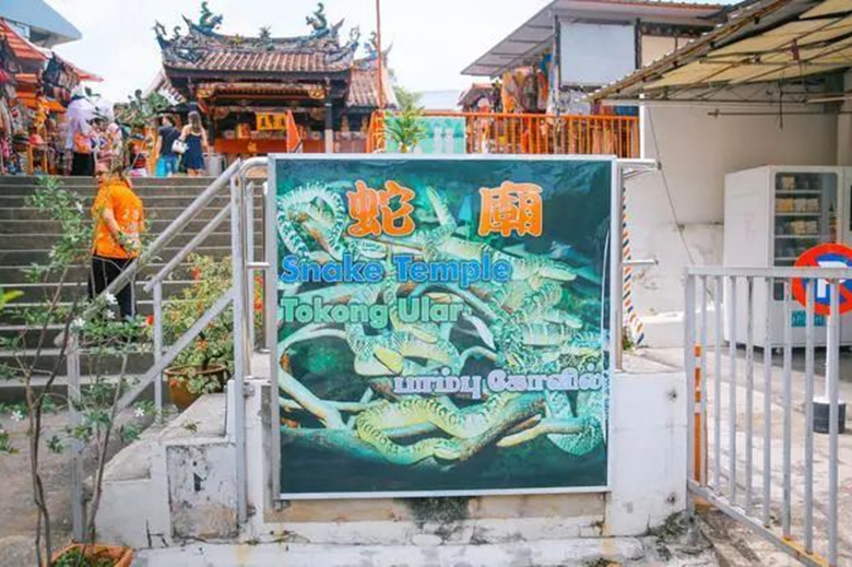 馬來西亞清水寺 一座“人蛇共存”寺院