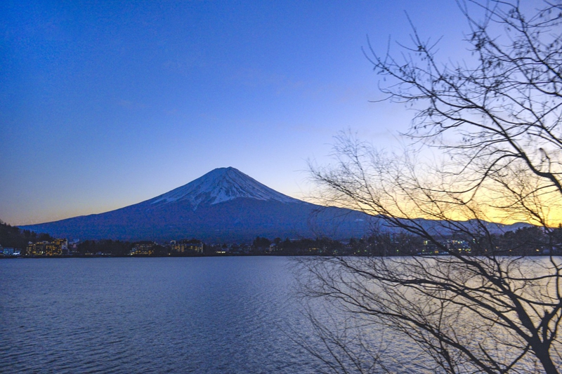 日本6月10日起恢復接待外國觀光客