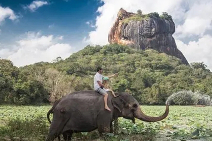 印尼旅遊業正復蘇 巴厘島大象安好