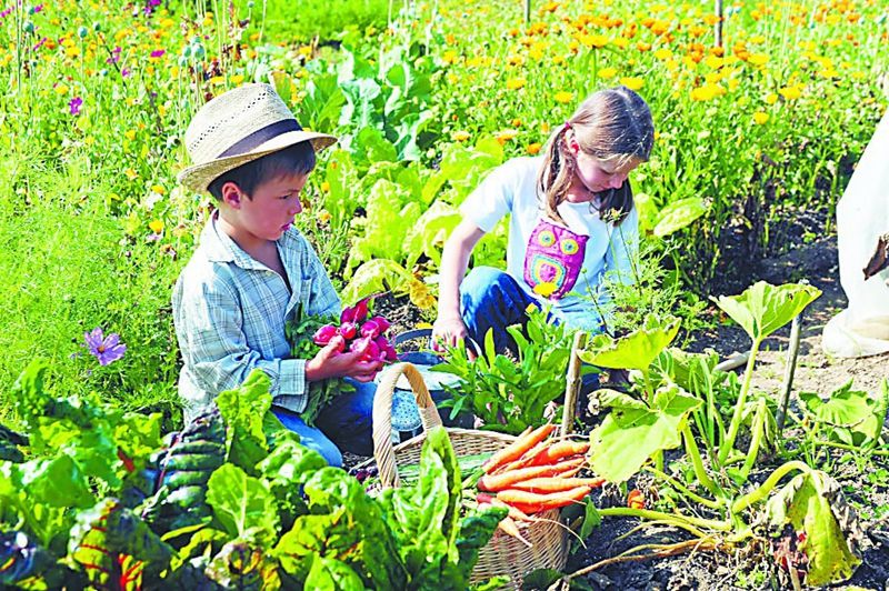 1641350486358493.jpg 2d4e7bee2258a5a0749eece7877cf50bc5.jpg