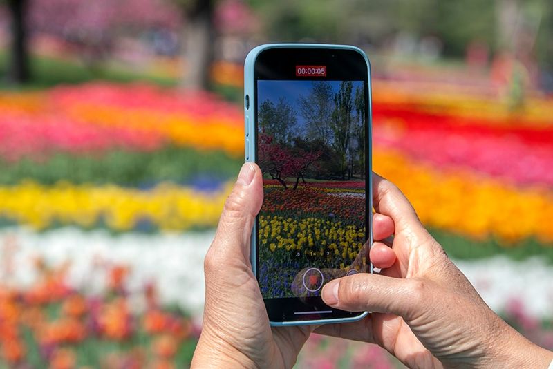 1650507225759711.jpg 3.jpg