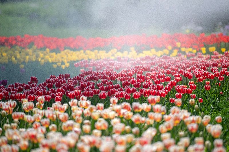 1650507269690924.jpg 7.jpg