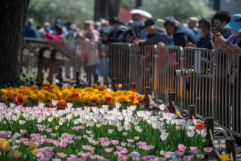 1650507281859331.jpg 8.jpg