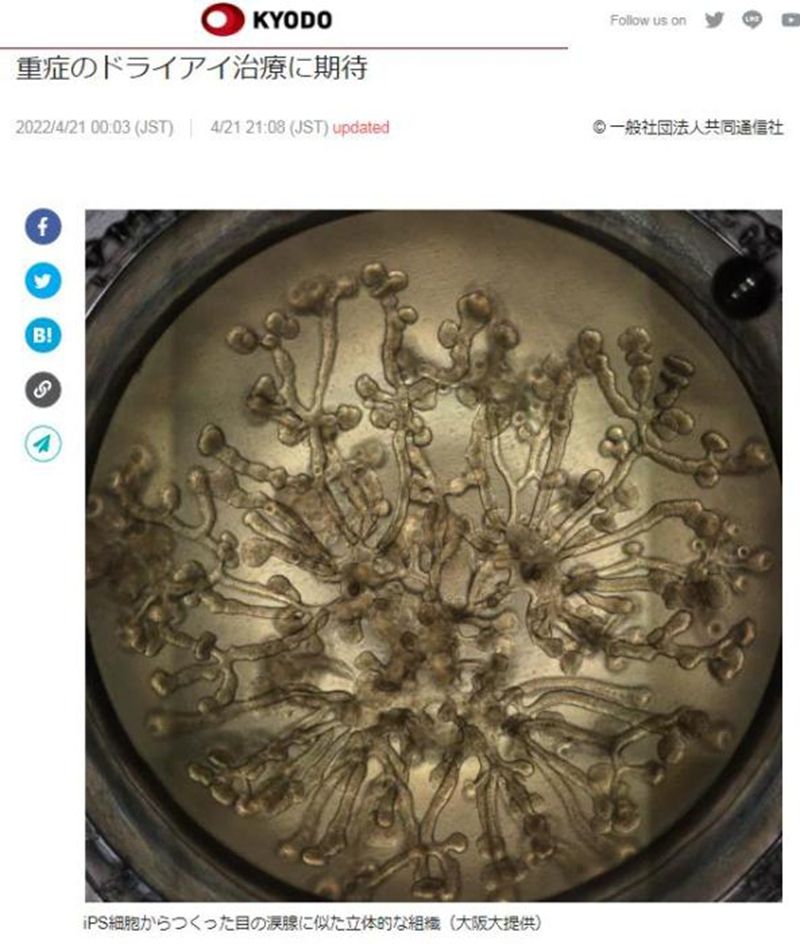 1650768067856200.jpg 1.jpg