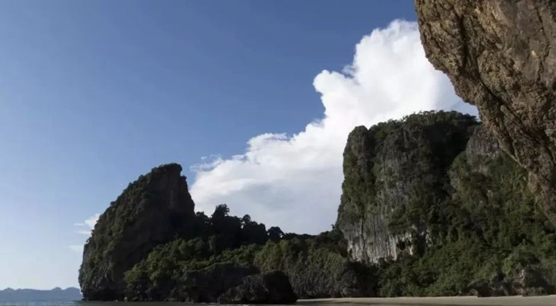 1651717775378315.jpg 4.jpg