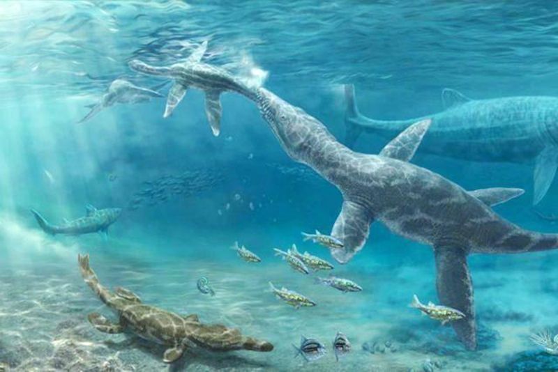 1652406646325156.jpeg 2.jpeg