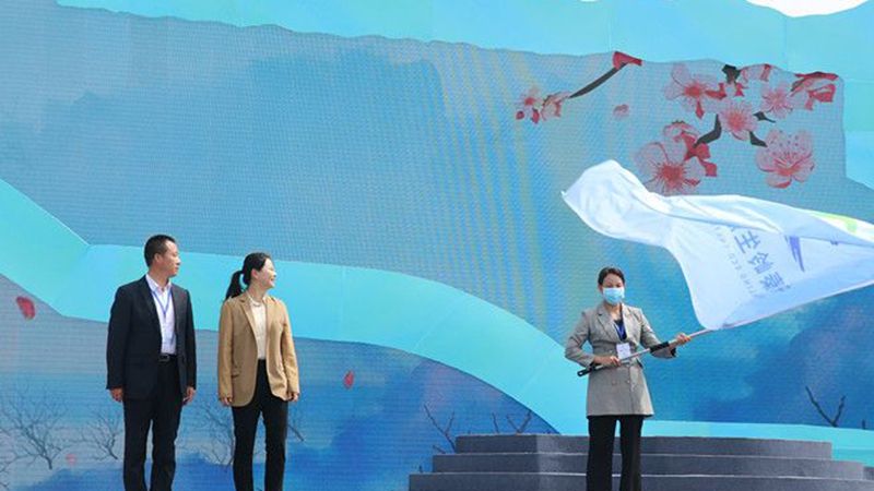 1652666756759502.jpg 3.jpg