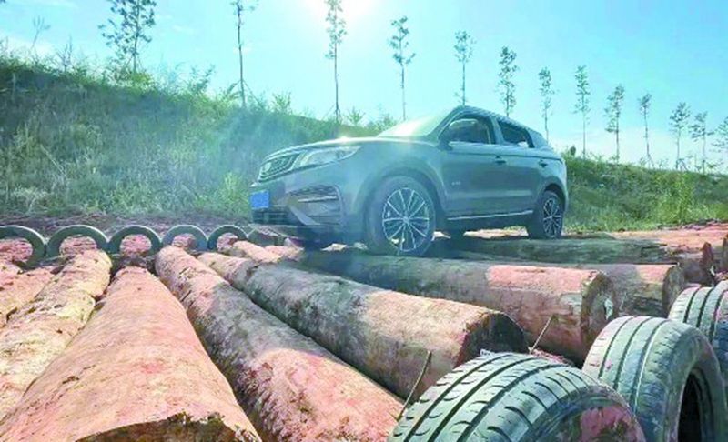 1652753277700520.jpg 1.jpg