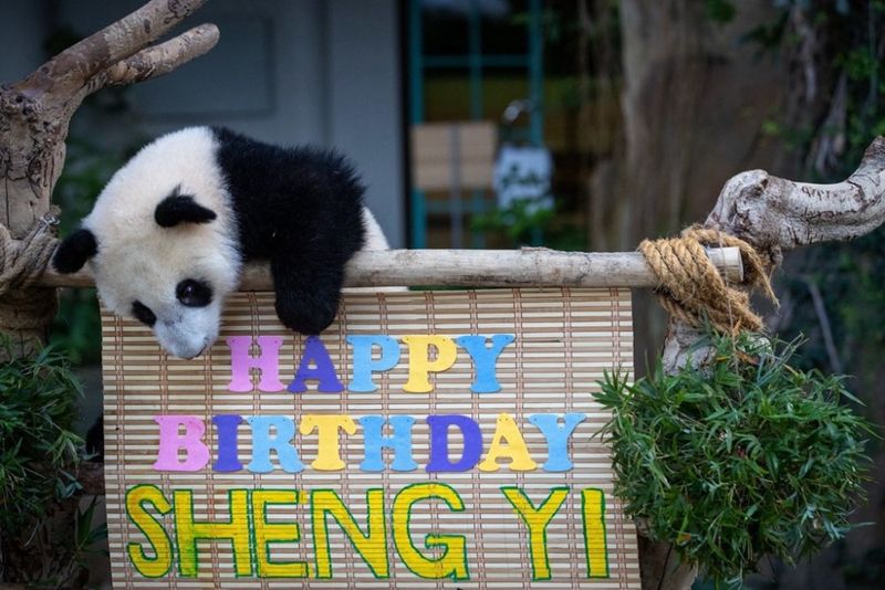 1654063200451435.jpg 5f829bd12a5853333009152b0c283991u5.jpg