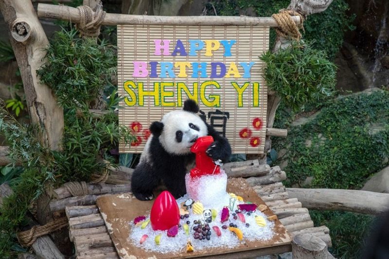 1654063228491715.jpg 777a0287193bff90b376ac0734e1d515u5.jpg