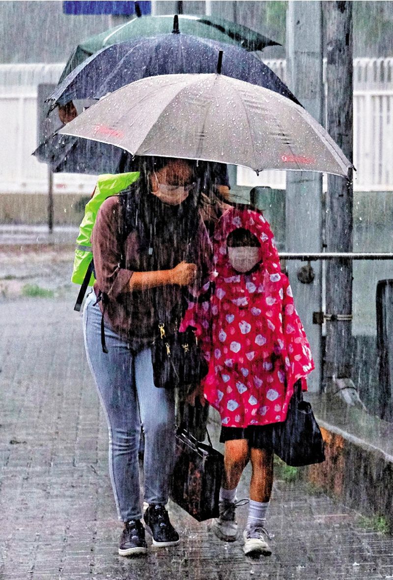 1654737799536945.jpg 1.jpg