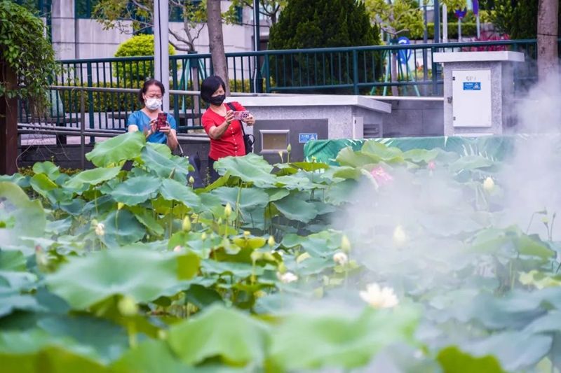 1654824545465670.jpg 4.jpg