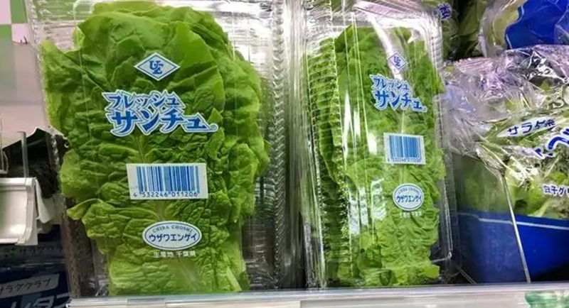 1657004219787370.jpg 1657004198575.jpg