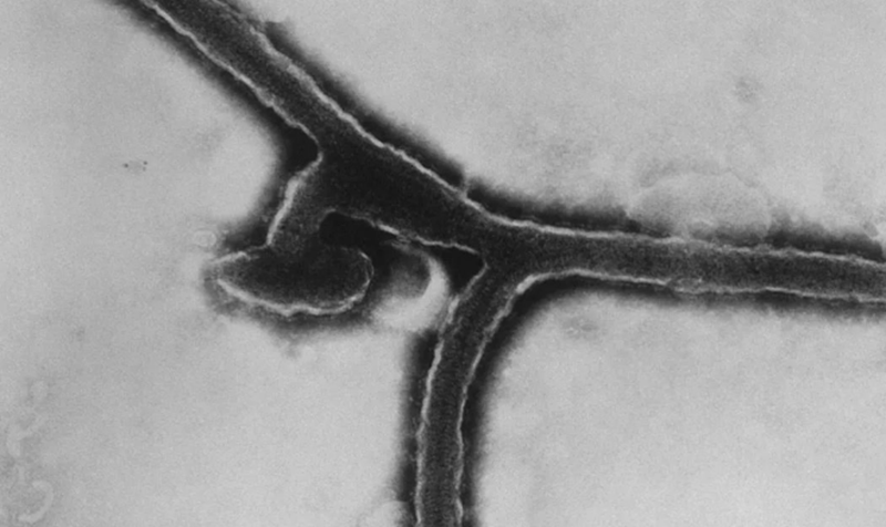 1658285805209738.png 1658285769333.png