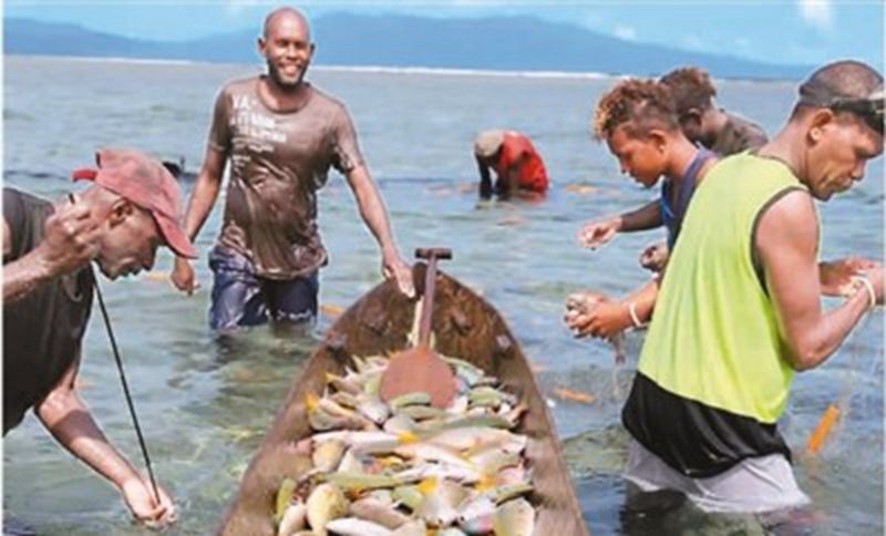 1662342034720189.jpg 81ec7f1d07b4e41d74a53b775da60cfc.jpg