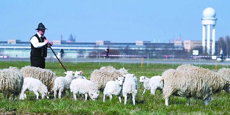 1669702934502964.jpg 11111.jpg