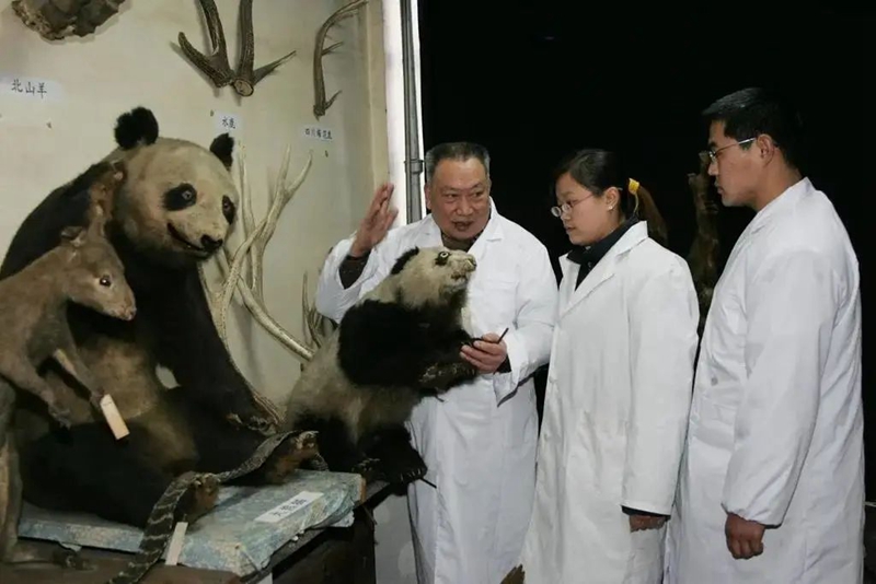 痛悼！“中國大熊貓之父”病逝