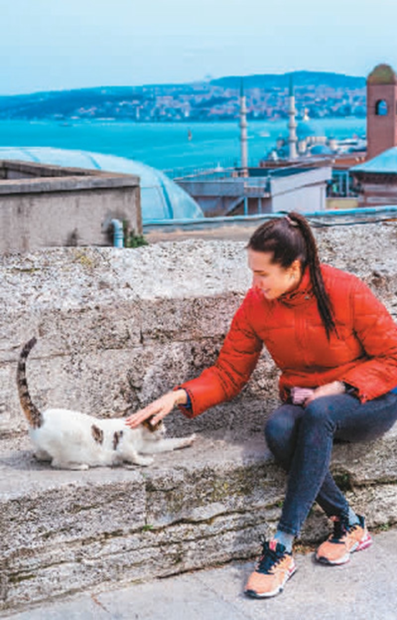 伊斯坦布爾是一座“愛貓之城”