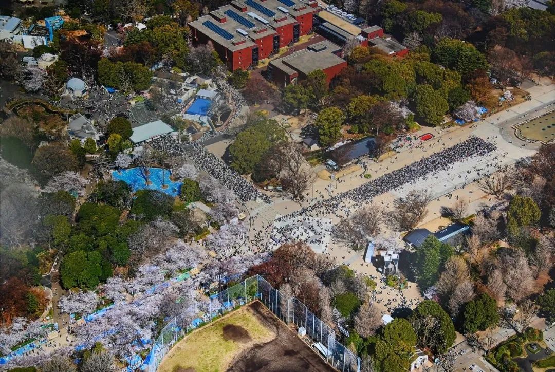 1677117100996384.jpg 640.jpg