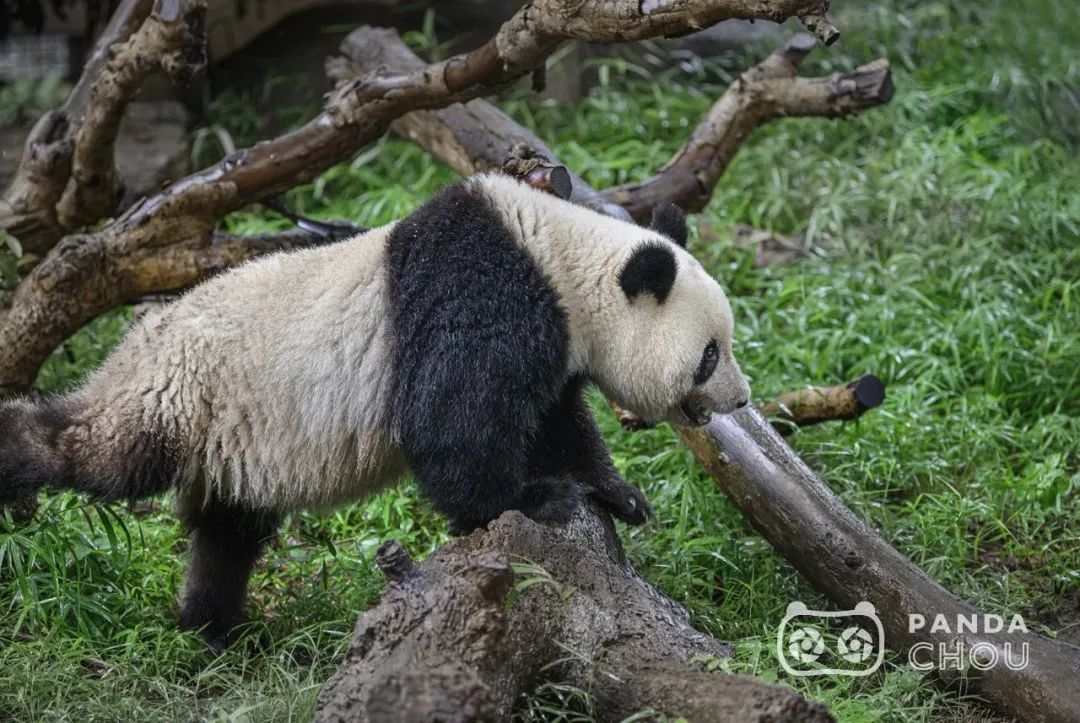 1677117167519281.jpg 640.jpg