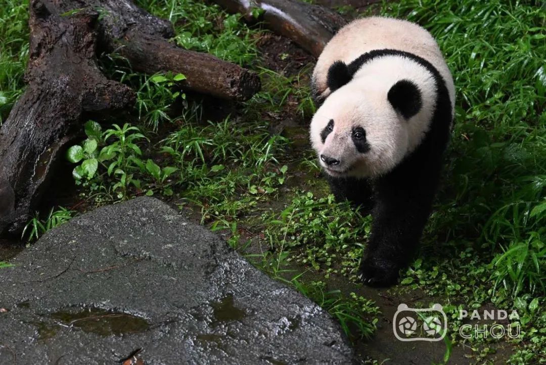 1677117174476280.jpg 640.jpg