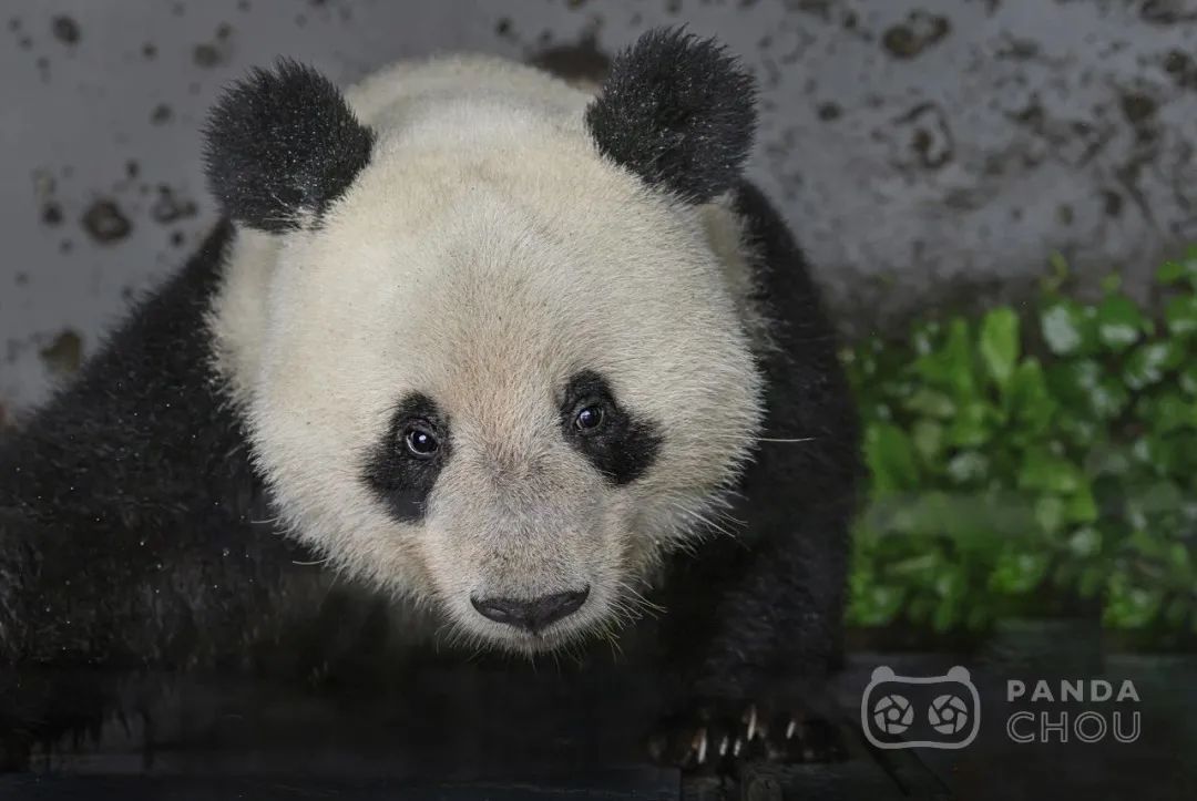 1677117327568523.jpg 640.jpg