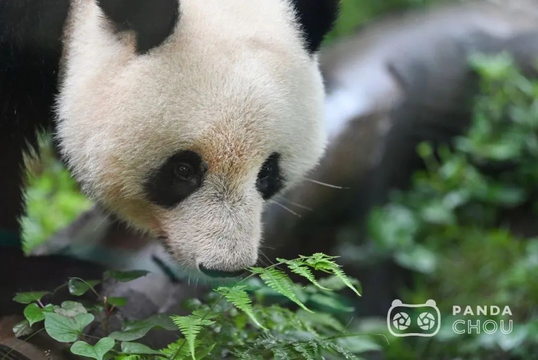 1677117493394667.jpg 640.jpg