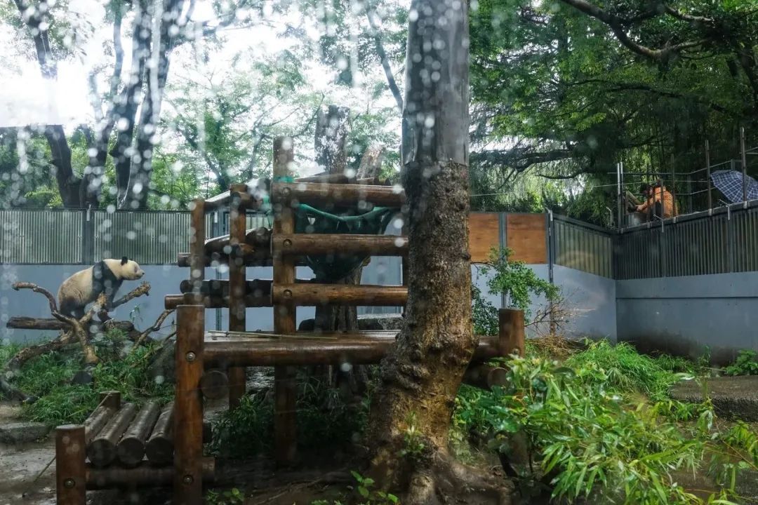 1677117546173645.jpg 640.jpg