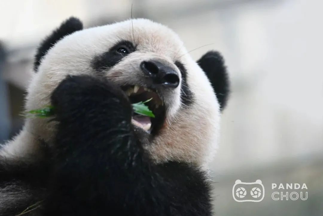 1677117632906693.jpg 640.jpg