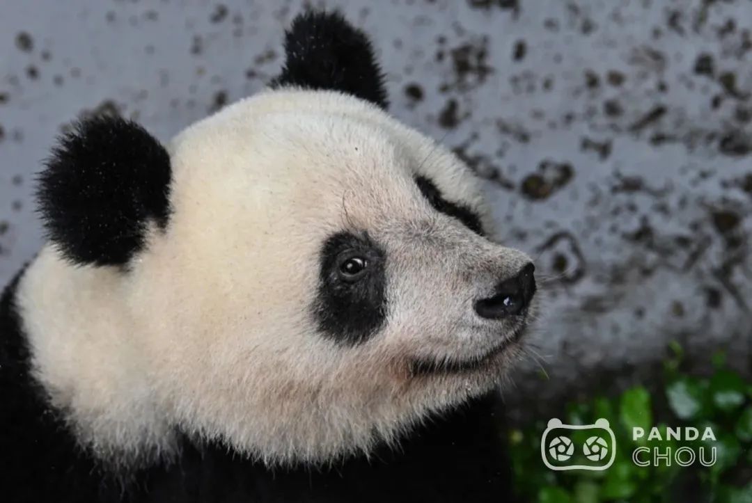 1677117653395538.jpg 640.jpg